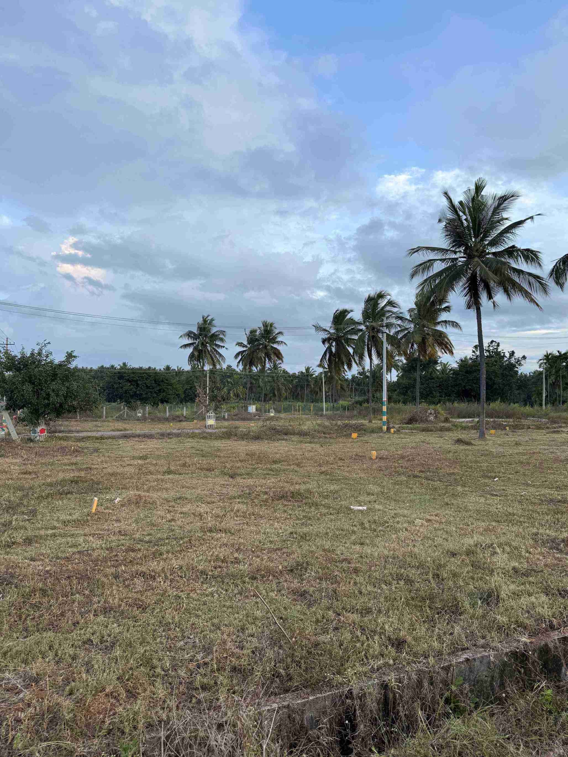 Benaka Layout Plot
